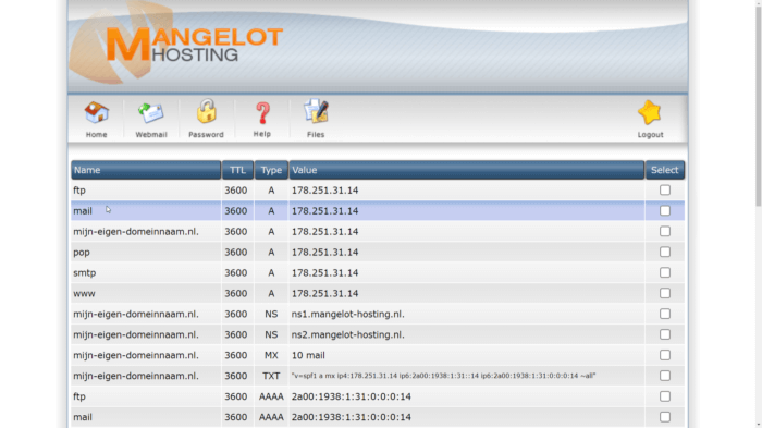Directadmin Dns records