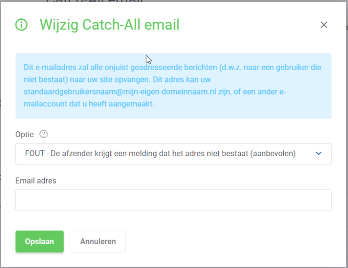 catch-all email instellen